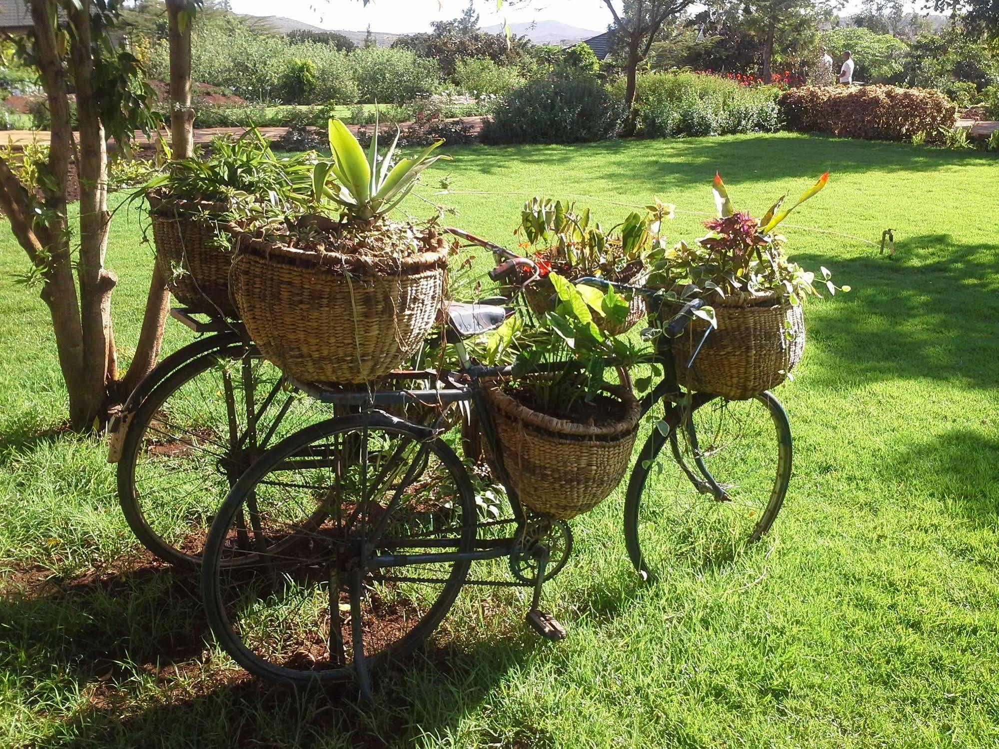 Acacia Farm Lodge Ngorongoro Zewnętrze zdjęcie